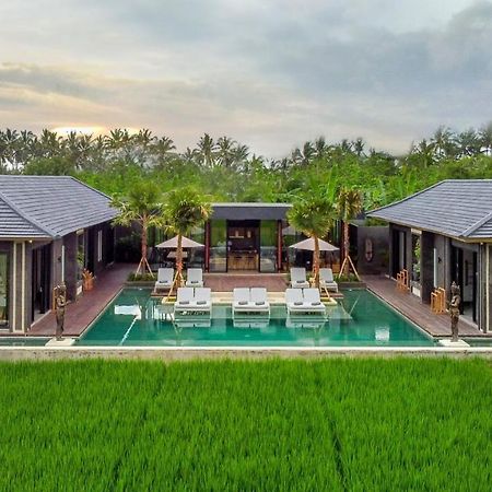 Villa Luna Lotus By Balisuperhost Ubud Eksteriør billede